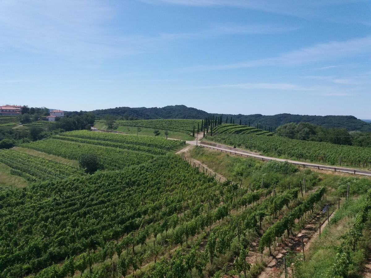 Agriturismo Casa Delle Rose Winery Ruttàrs 외부 사진