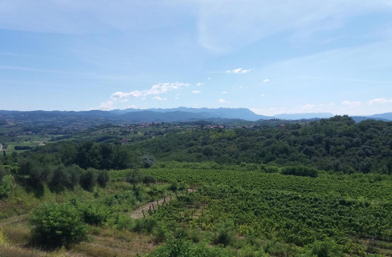 Agriturismo Casa Delle Rose Winery Ruttàrs 외부 사진