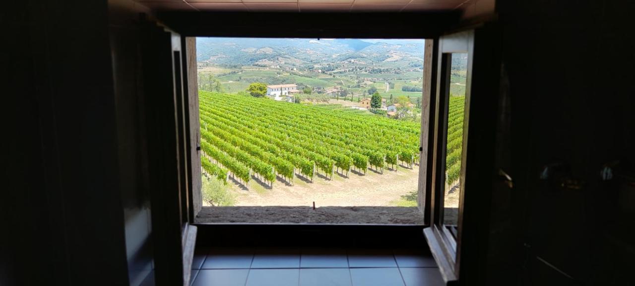 Agriturismo Casa Delle Rose Winery Ruttàrs 외부 사진