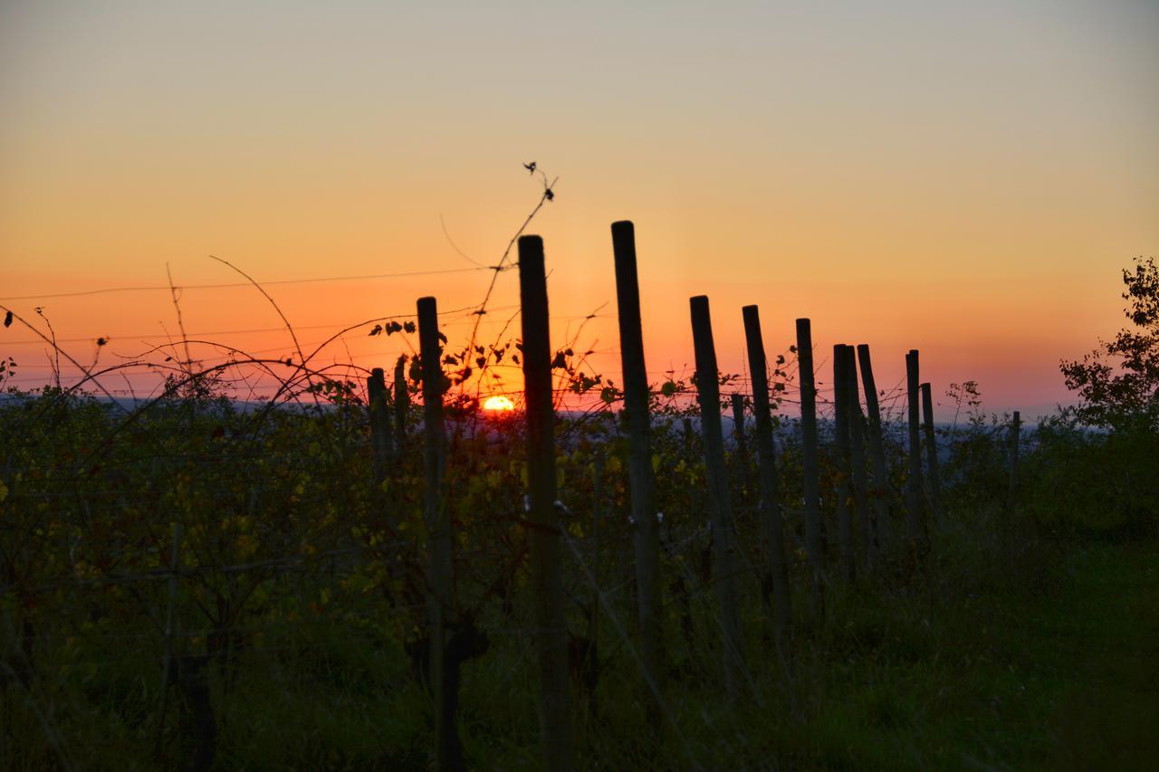 Agriturismo Casa Delle Rose Winery Ruttàrs 외부 사진