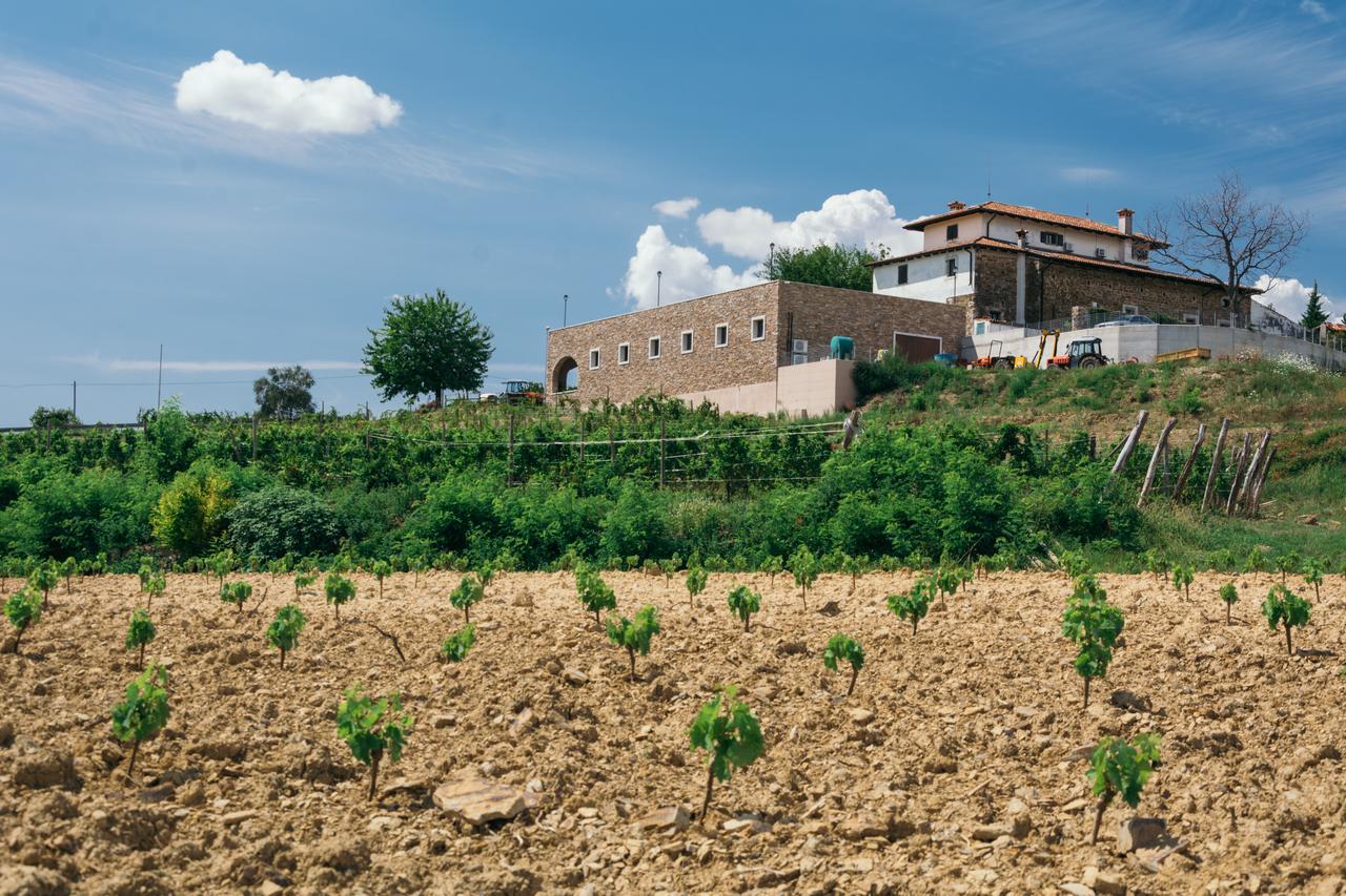 Agriturismo Casa Delle Rose Winery Ruttàrs 외부 사진