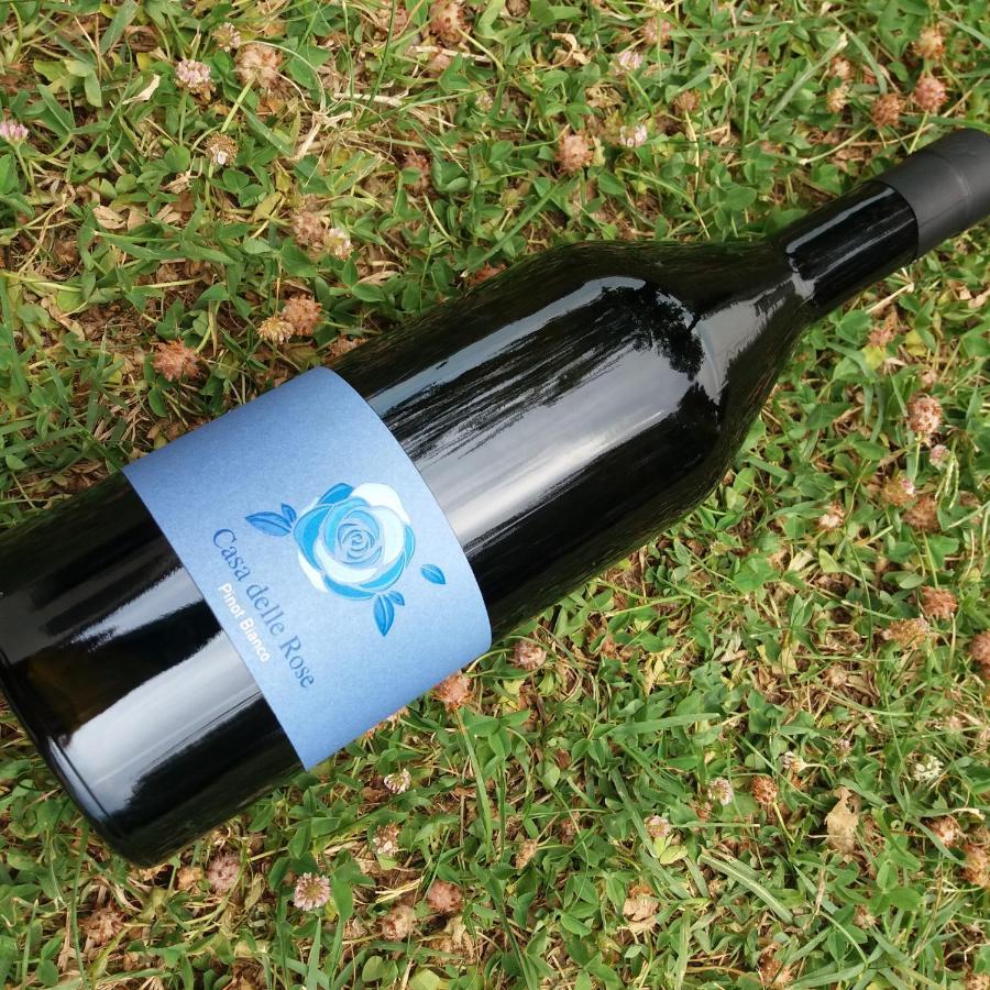 Agriturismo Casa Delle Rose Winery Ruttàrs 외부 사진